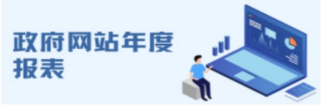 政府网站年度报表